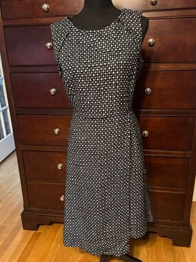 NWT Banana Republic fully lined dress size 10